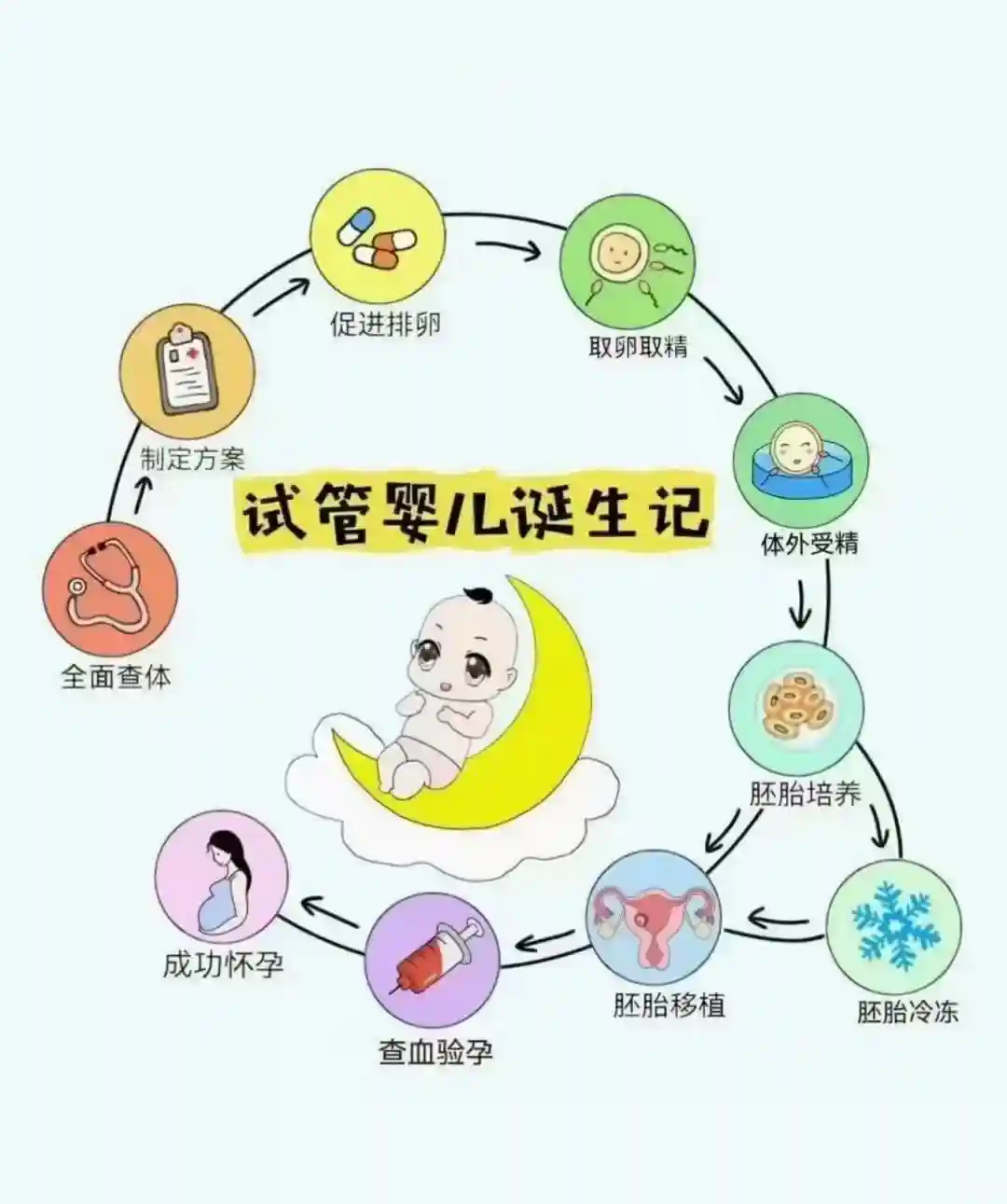 试管婴儿（四）取卵取精