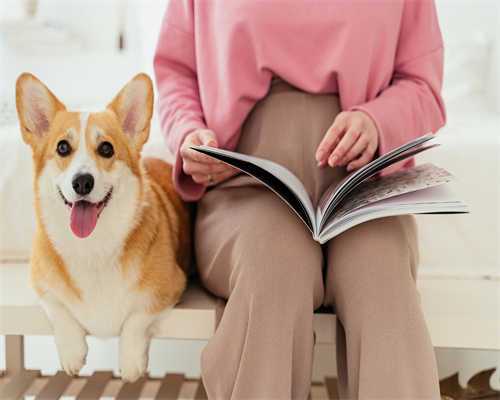 助孕揭秘：助孕方法一览及潜在风险解析